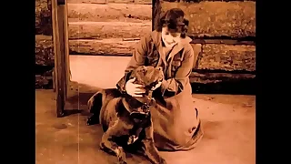 71 vintage porn videos